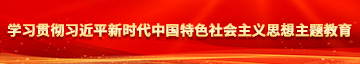 进入日逼网。学习贯彻习近平新时代中国特色社会主义思想主题教育